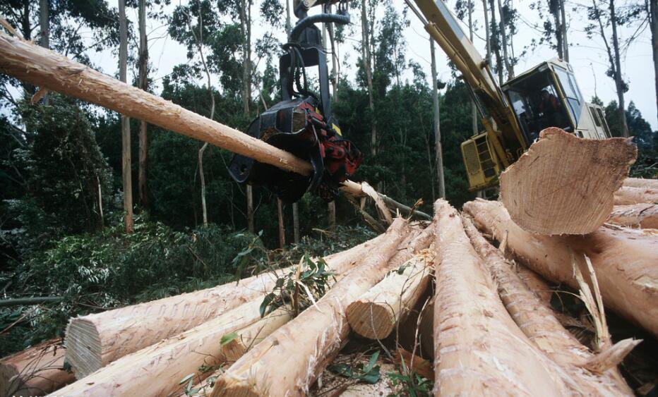 伐木挖掘�?.jpg